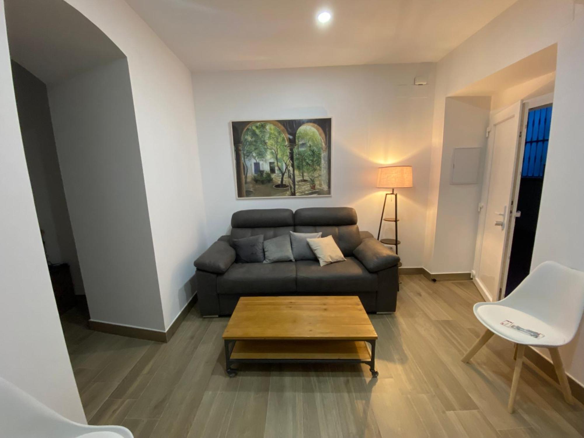 Appartement Del Mar Y De - Apartmentos En Pleno Centro Córdoba